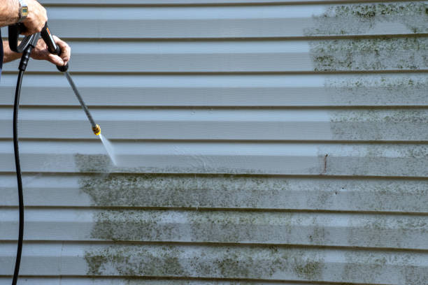 Best Carpet Removal and Disposal  in Highland Village, TX